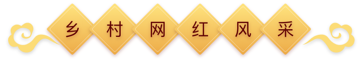 乡村网红风采